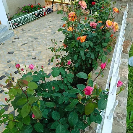 Elision Guest house 3*